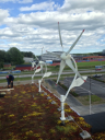 Vindblommor igång på Tessingeskolan